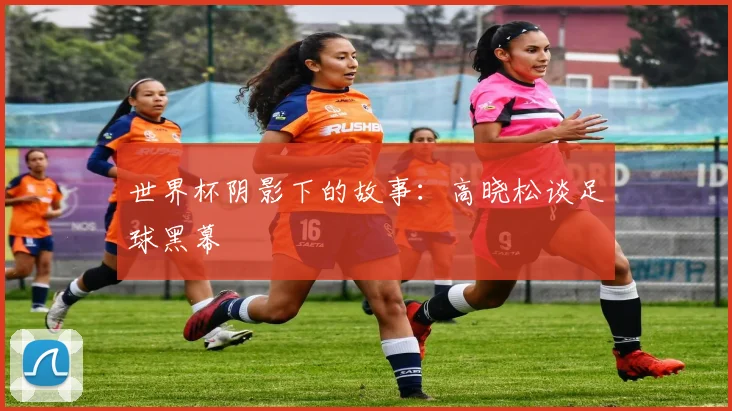 世界杯阴影下的故事:高晓松谈足球黑幕