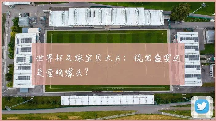 世界杯足球宝贝大片：视觉盛宴还是营销噱头？