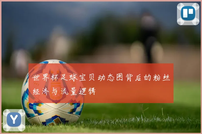 世界杯足球宝贝动态图背后的粉丝经济与流量逻辑