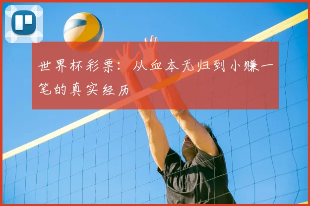 世界杯彩票:从血本无归到小赚一笔的真实经历